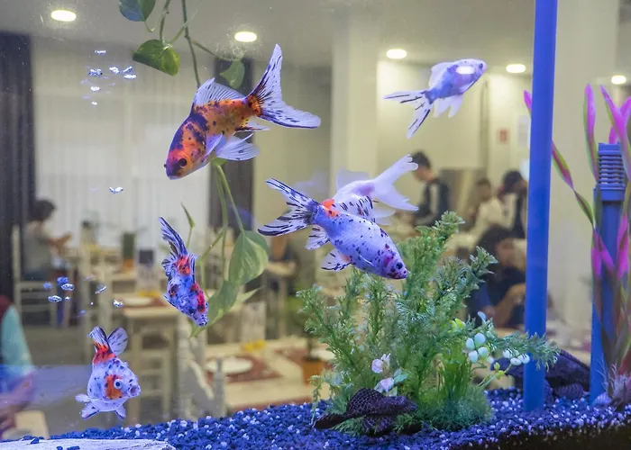 Victoria Ξενοδοχείο 3*